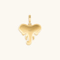 Resilient Spirit Elephant Charm 4