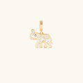 Spirit of Wisdom Elephant Charm 1