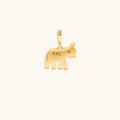 Spirit of Wisdom Elephant Charm 4