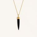 Fortune Gaze Onyx & Sapphire Necklace 1