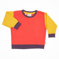 Adult Colorblock Sweatshirt 7