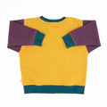 Baby Colorblock Sweatshirt 8