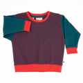 Baby Colorblock Sweatshirt 9