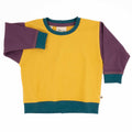 Baby Colorblock Sweatshirt 7