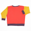 Big Kid Colorblock Sweatshirt 8
