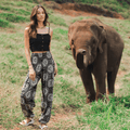 Bondi Harem Pants 3