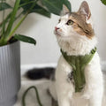 Green - Velvet Dog Harness 3