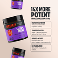 Organic Lion’s Mane Mushroom Powder 2