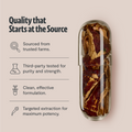 Organic Reishi Mushroom Capsules 5