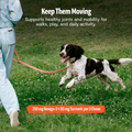 Organic Mushroom Complex for Dogs 7