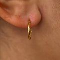 Melanie Vermeil Earrings 2
