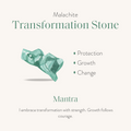 Abundant Positivity - Onyx Malachite Bracelet 4