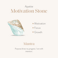 Endless Luck - Apatite Heishi Choker Necklace 3