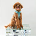 Blue - Velvet Dog Harness 3