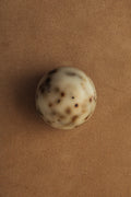 Sea Change – Seaweed Sphere Soap | Bladderwrack & Neroli 5