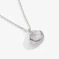 Salt + Sea 'Seashells Are Love Letters In The Sand' Seashell Locket Pendant 6