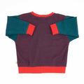 Toddler Colorblock Sweatshirt 10