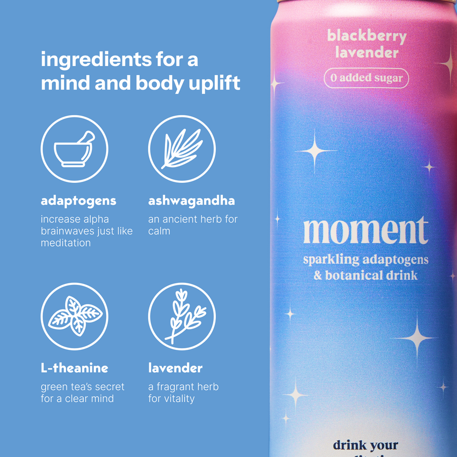 blackberry lavender (botanical soda | 24 pack)