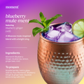 blueberry ginger (botanical tea | 12 pack) 7