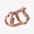 Powder Rose - Comfort Dog Harness 1