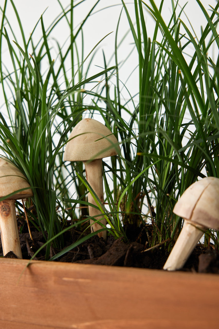 Wooden Mushroom Garden Stick