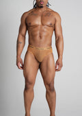Latte Micro Mesh Brief 1