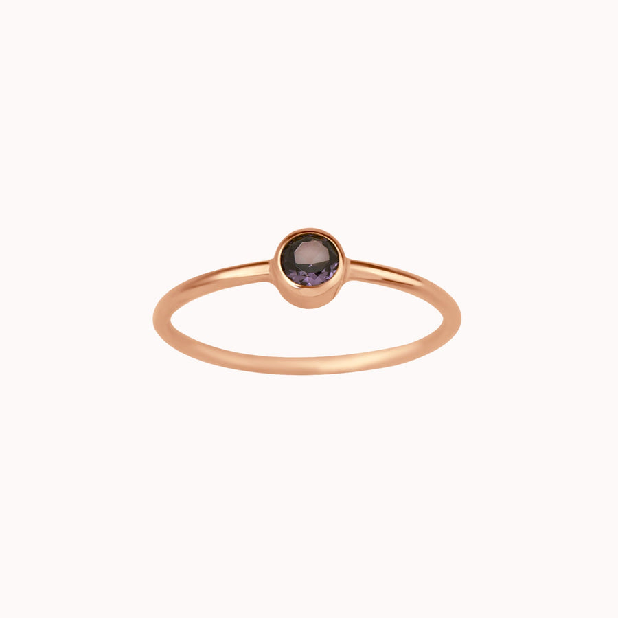 February Birthstone Ring ∙ Amethyst