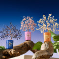 Intuitive Charm Lapis September Birthday Tree 2
