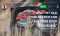 HEST Dog Bed 3