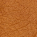 Donatella (brown) – Luxurious Italian peccary leather gloves with cashmere lining 5