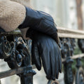 Ethan (black) – Vegan leather gloves with warm fleece lining & touchscreen feature 7