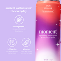 plum spritz (sparkling mocktail | 12 pack) 4