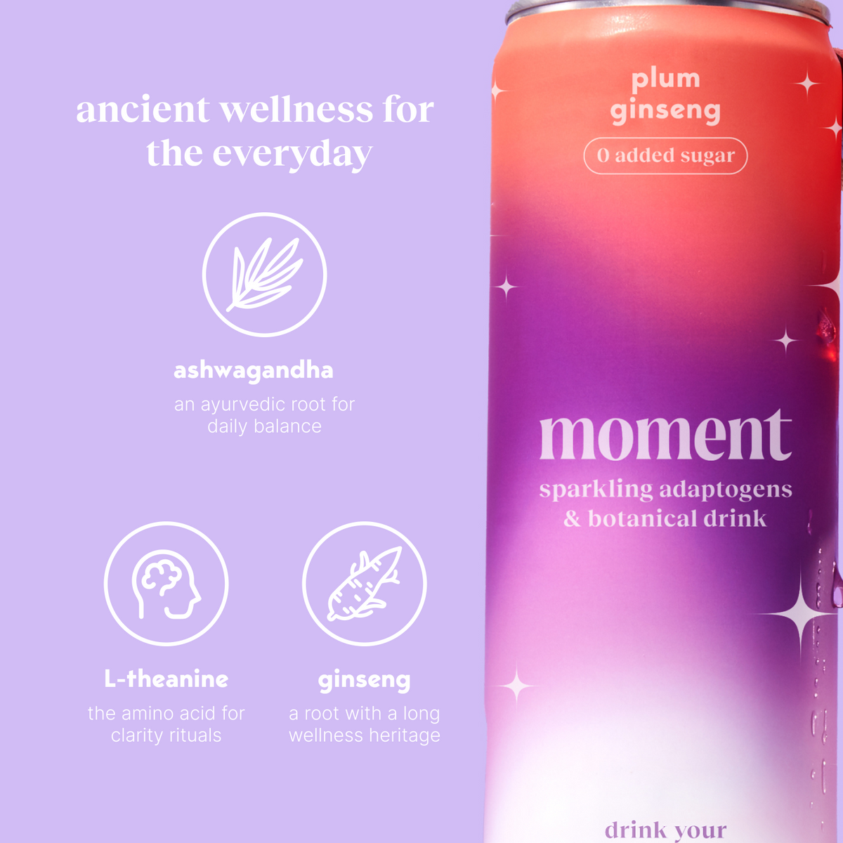 plum spritz (sparkling mocktail | 12 pack)
