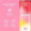 grapefruit lemonade 5