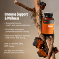 Chaga Mushroom Extract Capsules 10