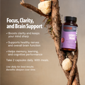 Organic Lion’s Mane Capsules 9