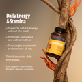 Organic Cordyceps Mushroom Supplement Capsules 2