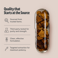 Chaga Mushroom Extract Capsules 5