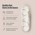 Organic Lion’s Mane Capsules 5
