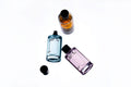 The Scent Edit 4