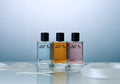 The Scent Edit 3