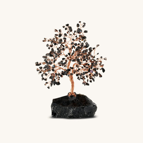 Grounded Awareness Black Onyx Feng Shui Tree