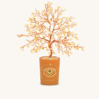 Illuminated Path Citrine November Birthday Tree