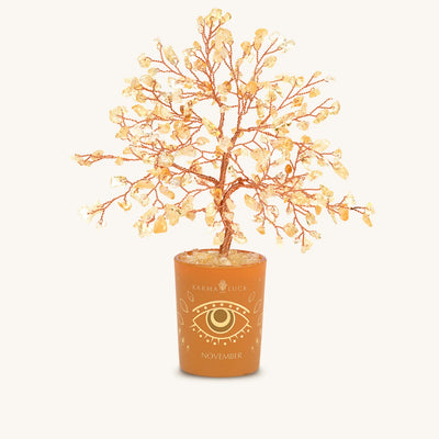 Illuminated Path Citrine November Birthday Tree