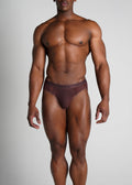 Espresso Micro Mesh Brief 1