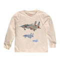 Jet Fighters 2