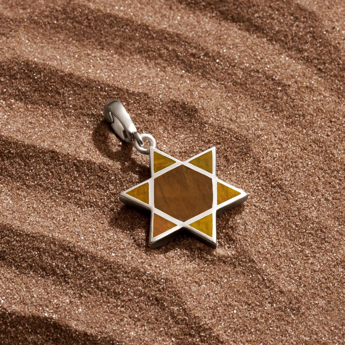 Ancestral Protector Tiger’s Eye Star of David Charm