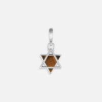 Wise Devotion Silver Tiger’s Eye Star of David Charm