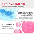 Lip Moisturizer & Plumping Balm 7