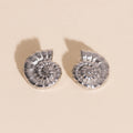Shell Swirl Stud Earrings 6